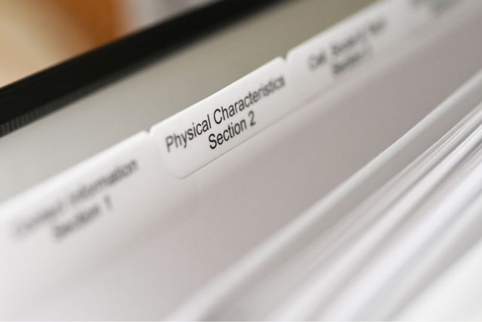 Child Connection &  Protection Toolkit