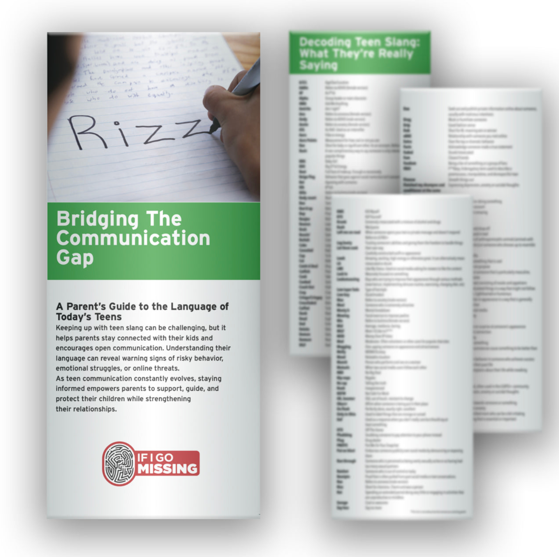FAMILY CONNECTION 5-GUIDE BUNDLE